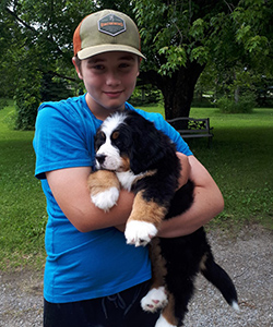 Mise en service du tout nouveau parc à chiens au parc Bissonnette